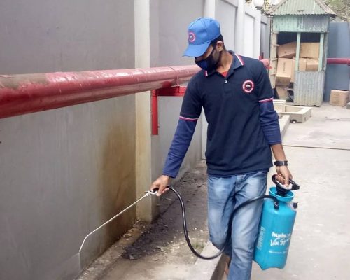 2f732466-6e56-4867-830a-ce1a79eba78d