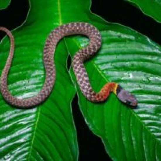 b1f954c6-b31b-4676-9777-16408fe0a0d8-300x200