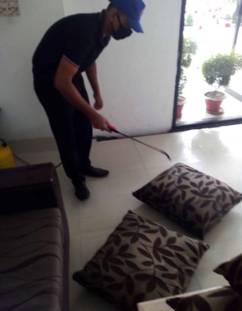 img_20181102_120735-scaled-1