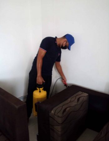 img_20181102_121330-scaled-1